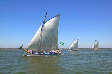 VI Regata Cruzeiro Moita – Vila Franca de Xira – Moita Cerca de 25 embarcações vão partir da Ilha do Rato no Barreiro