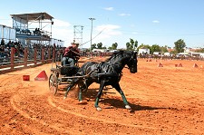 XII Feira Equestre da Moita “Segundo maior evento que a Câmara Municipal realiza anualmente”