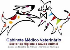 Seixal Campanha de adopção de animais