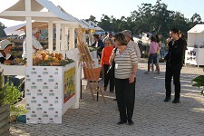Setúbal Êxito na 1.ª Edição da Feira de Outono prolonga o horário da iniciativa
