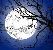 Moita - Cooperativa de animação Cultural de Alhos Vedros Promove "NOITE DE LUA CHEIA"