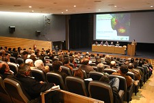 Alcácer do Sal Portugueses e espanhóis negoceiam futuro da fileira da pinha e do pinhão