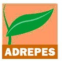 Em Palmela ADREPES e o CEARTE promovem curso de iniciação à informática