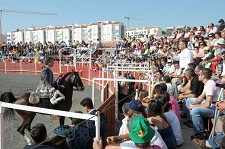 Em Santiago do Cacém Mais de 60 mil pessoas visitaram a Santiagro – ultrapassada a meta do ano passado