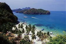 Tailândia marca presença em Sines TAT, Image Tours e Thai Airways organizam workshop para trade