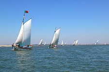 VII Regata Cruzeiro Moita – Vila Franca de Xira – Moita Homenageia José Moita sócio do Centro Náutico Moitense