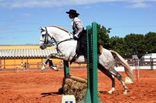 XIII Feira Equestre da Moita a caminho Certame contará ainda com a realização de duas conferências