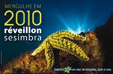 Réveillon Subaquático regressa a Sesimbra Mais de 100 mergulhadores voltam a passar o ano debaixo de água