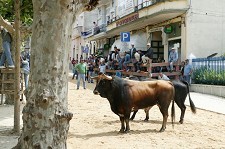 De 21 a 23 de Maio na Moita Feira tradicional de Maio e «Noivas e Noivos» animam vila