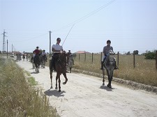 Passeio Equestre «Pegões a Cavalo» Realizaram-se baptismos da atrelagem destinados aos alunos da escola E.B 2, 3 de Pegões