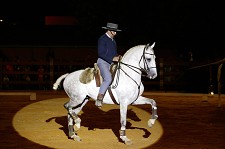 Feira Equestre regressa à Moita Animada com actividades dirigidas às crianças