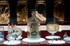 Freeport celebra Noite das Bruxas em Alcochete Exposição “Bruxaria e Criaturas Fantásticas” aberta até às 23 horas na noite de Halloween