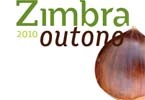 Zimbra Outono Workshop A Arte de Bem Cozinhar