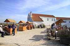 Feira de Outono na Herdade da Mourisca em Setúbal Cerca de 400 pessoas marcaram presença