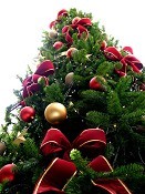 Comissão da Protecção de Crianças e Jovens do Barreiro Oferece Festa de Natal a todas as famílias e crianças carenciadas