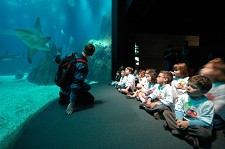 Oceanário apresenta novos espaços educativos com design inspirador