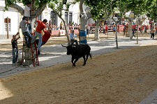 Tradicional Feira de Maio na Moita Uma diversidade de propostas para atrair milhares de visitantes