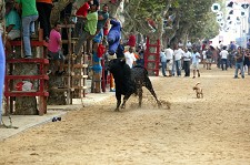 Festas da Moita 2011 Festas em Honra de Nossa Sr.ª da Boa Viagem estão aí