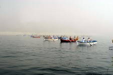 Regata de Aiolas encheu de cor Baía de Sesimbra Tradicional prova desportiva reuniu 26 embarcações