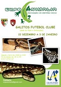 Exposição de Répteis da ExpoAnimalia no Barreiro GALITOS FUTEBOL CLUBE de 22 de Dezembro a 3 de Janeiro