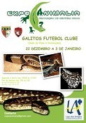 Exposição de Répteis da ExpoAnimalia no Barreiro GALITOS FUTEBOL CLUBE até dia 3 de Janeiro