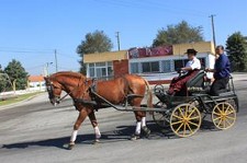 Pegões concelho de Montijo Recebe passeio de atrelagem equestre