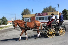 Passeio de Atrelagem Equestre em Pegões no Montijo contará com 20 charretes