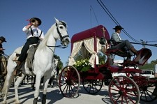 Romaria a Cavalo Moita - Viana do Alentejo Cavaleiros e cavalos de volta à «Canada Real»