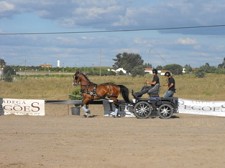 Cortejo Turístico Equestre em Pegões no Montijo «Pegões a Cavalo»
