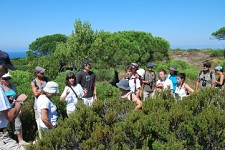Caminhadas, ateliers, visitas guiadas Propostas para o Verão em Almada
