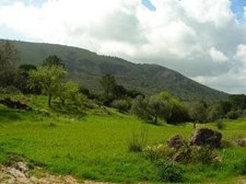 Freguesia de Quinta do Anjo - Palmela Convida a conhecer a Freguesia