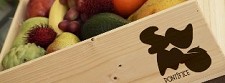 Sumos Naturais - mercado maduro com Player inicial que se pretende instalar no sector