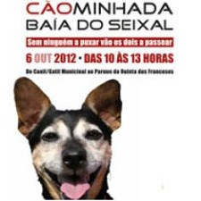 Cãominhada na Baía do Seixal comemoração do Dia Mundial do Animal