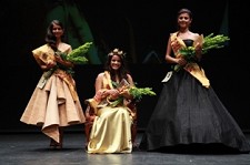 A noite de glamour do vinho e do Mundo rural em Santarém Gala da eleição da Rainha das vindimas de Portugal