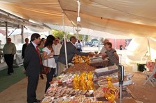 Feira Nova de Outubro em Alcácer do Sal Aposta nos primeiros frutos secos do ano e na animação musical