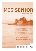 «O Envelhecimento Demográfico no Concelho do Barreiro» - Desafios, Possibilidades e Constrangimentos –