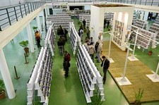 No Pavilhão Municipal da Moita Aves em exposição uma referência no calendário ornitológico nacional