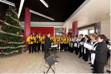 Concertos de Natal no Seixal Animam espaços públicos do concelho