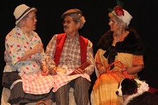 No Cineteatro S. João, em Palmela Grupo de Teatro da ARPI apresenta «Meu Querido Pinhal Novo»