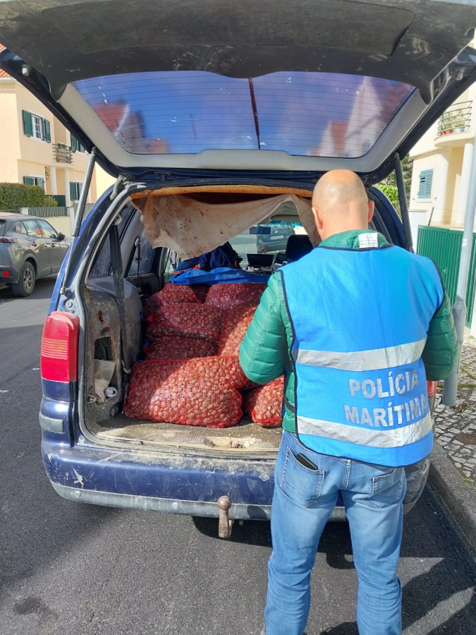 Em Alcochete Polícia Marítima apreende 916kg de amêijoa japónica