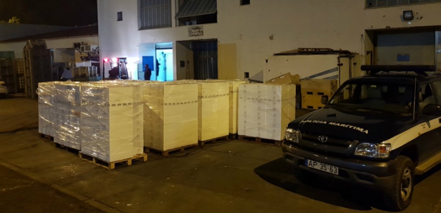 Polícia Marítima de Setúbal Apreende mais de 7 toneladas de pescado no porto de Sesimbra