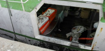 Apreendidos 295kg de tamboril na lota de Sesimbra Quantidade capturada não pode ser superior a 3% do pescado capturado.