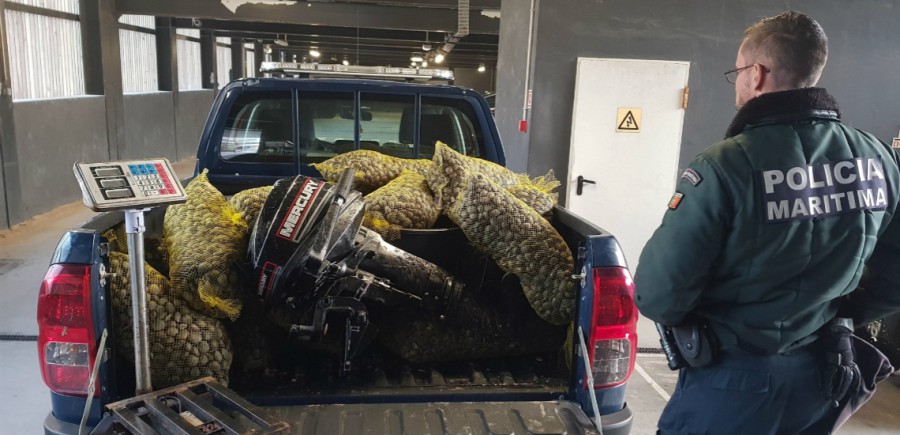 Fiscalização na margem sul do estuário do rio Tejo entre o Barreiro e Alhos Vedros Polícia Marítima apreende cerca de meia tonelada de amêijoa japónica
