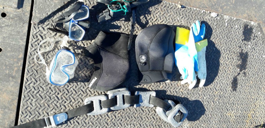 Polícia Marítima deteta apanha ilegal de amêijoa em mergulho e por embarcação com ganchorra no Tejo