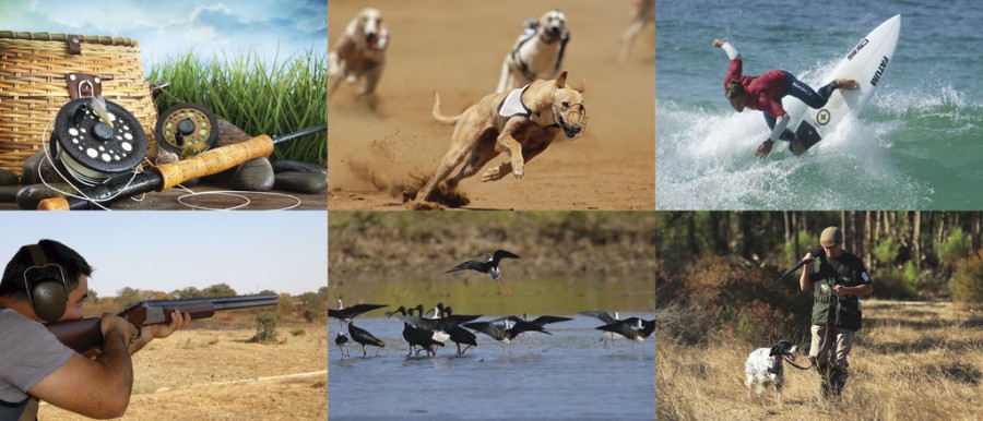 Grândola Ar Puro, Feira de Caça, Pesca e Atividades ao ar Livre não vai realizar-se