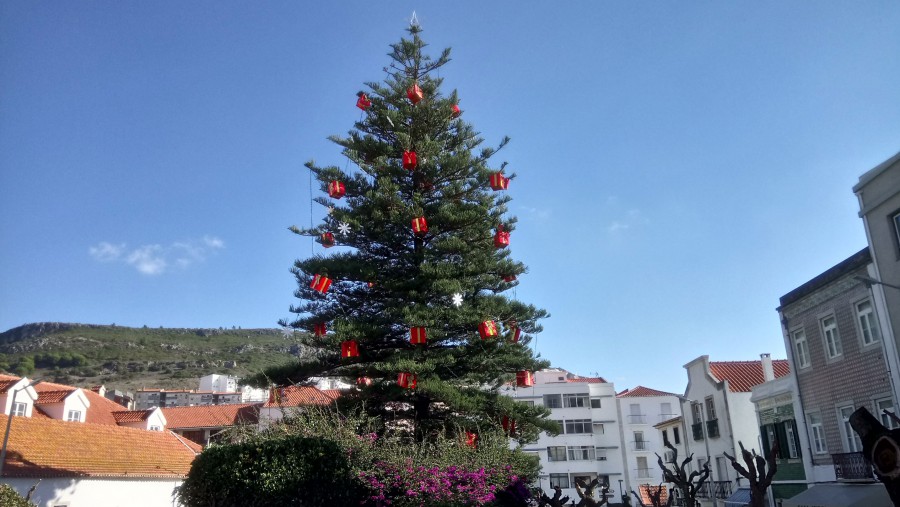 Programa natalício anima concelho de Sesimbra Casa do Pai Natal vai regressar à Fortaleza de Santiago