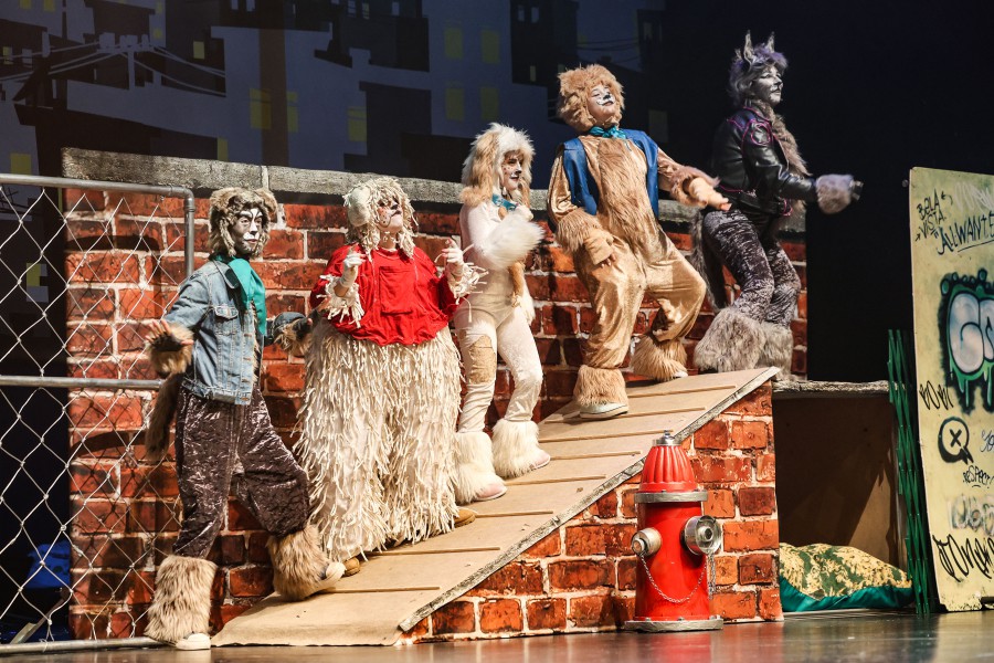SETÚBAL - Bambolinices proporcionou dez dias de teatro para a família GATEM – Espelho Mágico com «A Dama e o Vagabundo» encerrou a quarta edição
