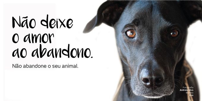 Almada - Campanha de sensibilização contra o abandono de animais de companhia Não deixe o amor ao abandono