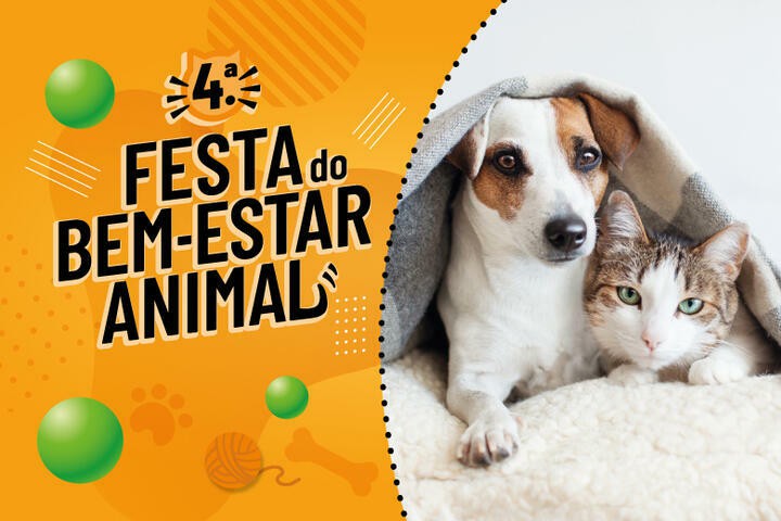4.ª Festa do Bem-Estar Animal Centenas de pessoas juntaram-se no Seixal para celebrar os animais