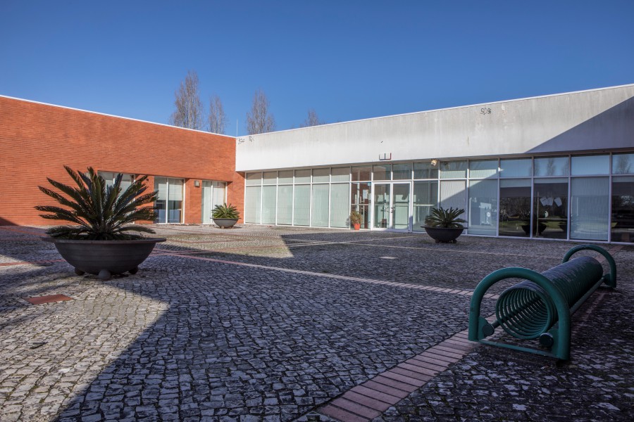 Palmela - Bibliotecas Municipais Reabrem ao público a 2 de junho